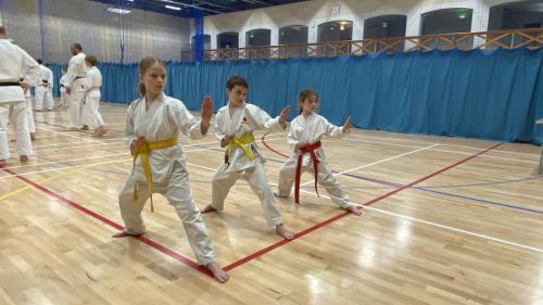 0D3E83F0-AB37-4DB7-9A10-2709662BCA51