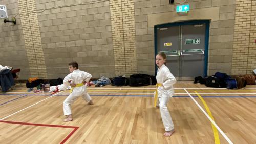 0FE70A64-AEF1-443D-A25D-B2E9D9F355D4