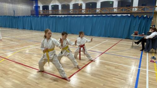 1D7E7EEC-8FFB-4E93-B5F7-9D10C241D68E