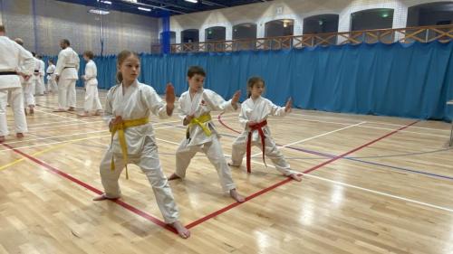 214B541C-7082-404A-B41C-3757E3BB1B07