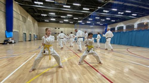 29E42EF9-DA4F-425D-A000-2422F6C22917