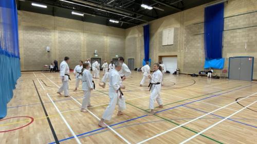 44BEDCE4-0EEE-40AF-B90D-C7D74AB53694