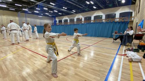 4CBF95C1-396F-4A13-9E86-2E48289F6FA2