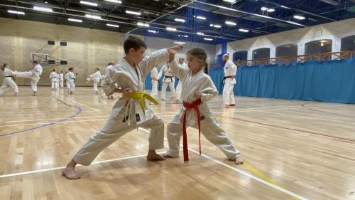 56C64BD5-E82A-46DD-960F-C3446D894AC2