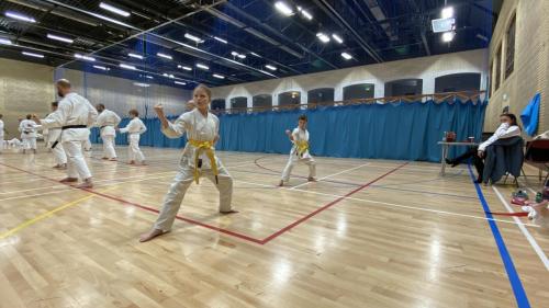 62EC75E0-03C1-493D-B07B-EDEA3C72D0A2