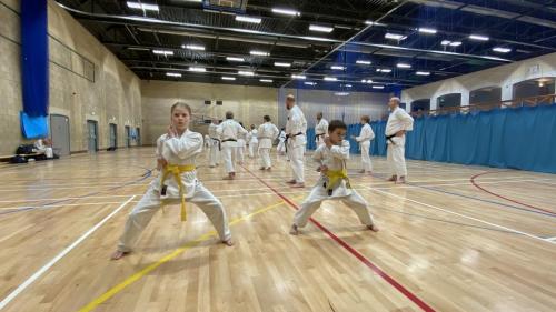 6F61B2E9-D2C5-4DE3-8C90-52C494F07D11