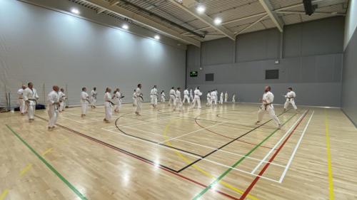 AE8D7357-163A-4F66-BF79-B7AA38B458B0