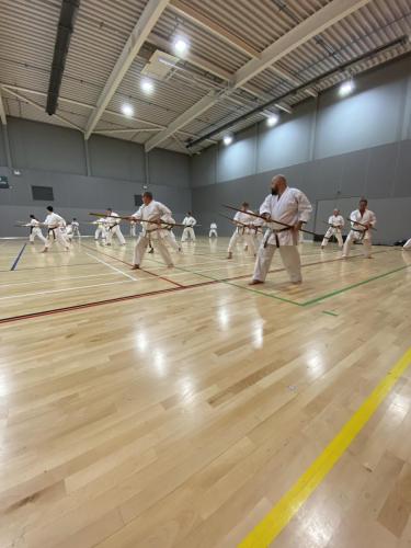 E9A544F2-1B41-46D6-B2DB-9B19213EB695