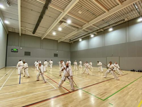 ECB1A79D-E823-4EFC-A234-8B818F29404A