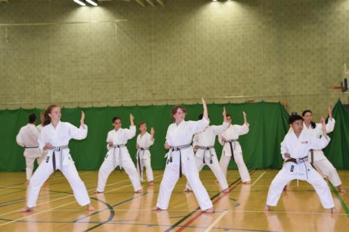 249F6547-F335-43F7-8793-98DB810C6545