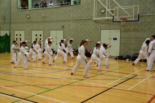 529A68E8-60E8-4C52-976A-DFA5F319C16A