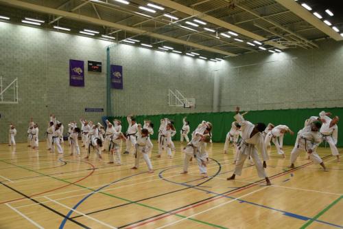 5475BCBE-8116-4B8E-9E15-18D057A17F2E