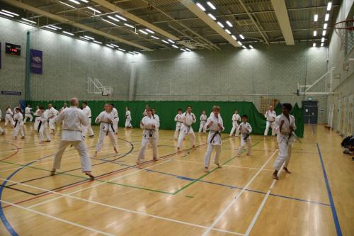 62DCC1C6-9311-4D9D-9A3F-9B8FE314B02B