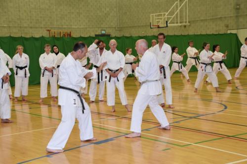 69CF4C38-F9D0-46CA-AD69-1EED0A21BACF