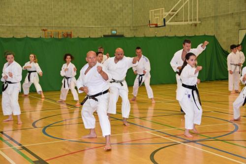 6E554C39-56D1-41B4-BAB0-13284F723AF6