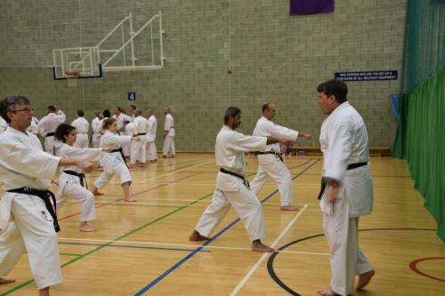 7AAF8A06-5D5C-4D0F-8D8A-0D5E48A26600