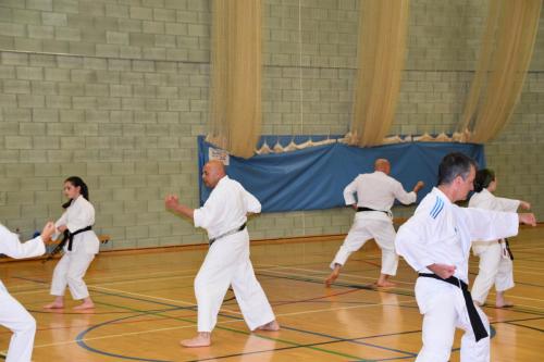 990E967E-6529-424D-8D0B-3B8534ED8D41