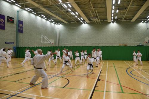 A1B120BD-7A0D-464F-9253-5A5CD4DE0D32