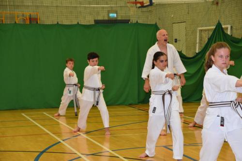 D21DC318-60AE-4A2F-94ED-97B61BB3C157