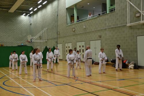 ED3E9752-B453-4716-B7E3-A6F8150767B4