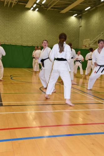 DSC 0373-DESKTOP-GJJIFPO