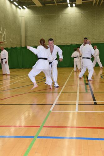 DSC 0375-DESKTOP-GJJIFPO