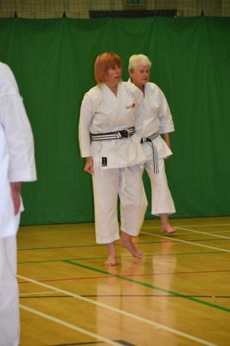 DSC 0399-DESKTOP-GJJIFPO